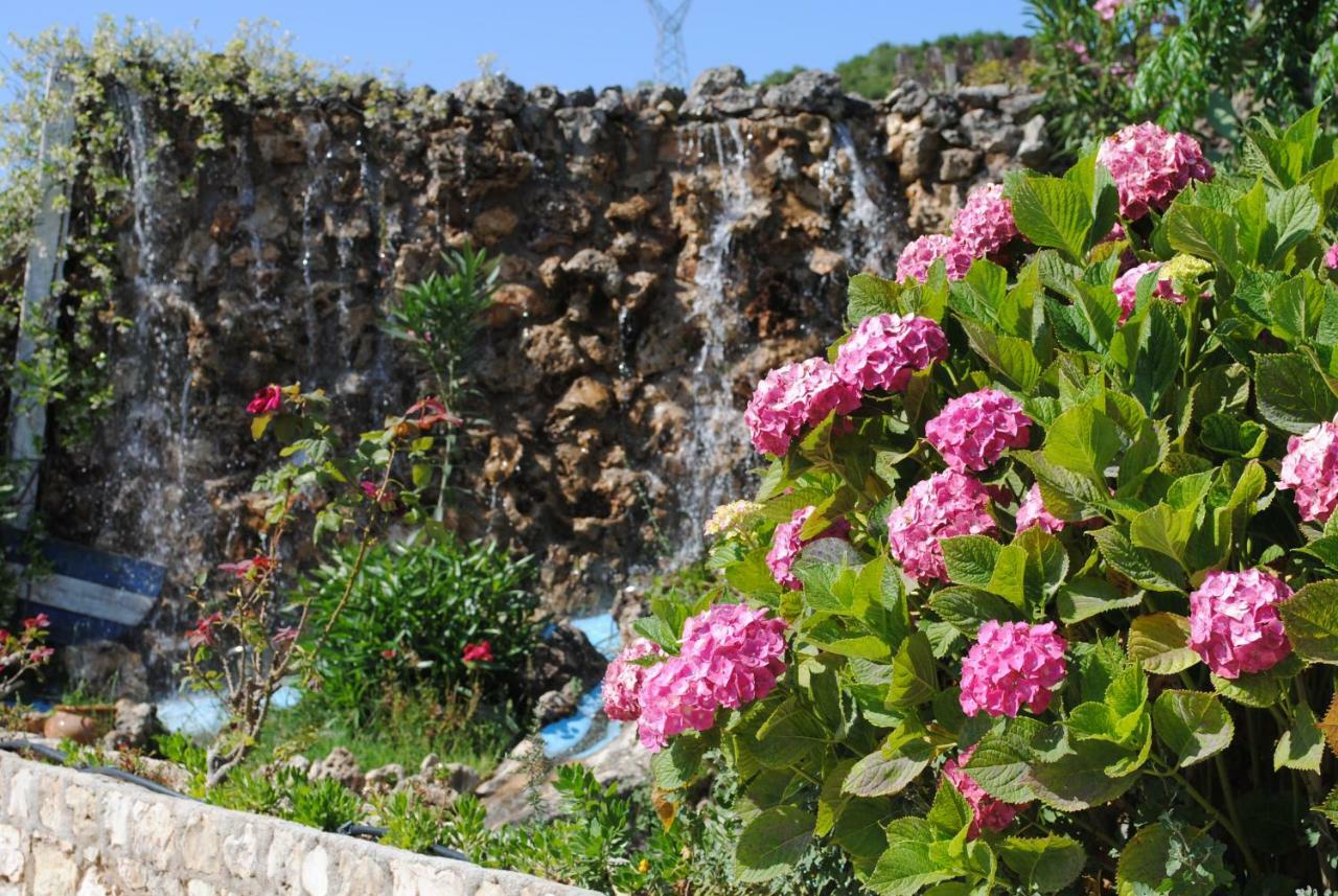 Vervekis Apartments ฟิสคาร์โด ภายนอก รูปภาพ